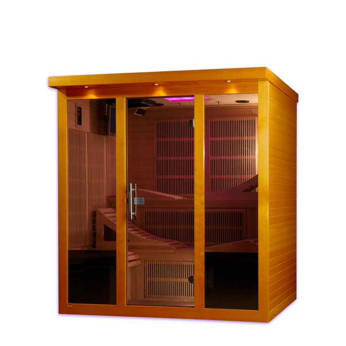 Dynamic Monaco 6-person Ultra Low EMF FAR Infrared Sauna 4