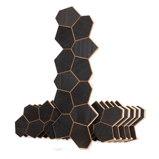 ProSaunas Modern Black Sauna Wood Panels, Black Thermo-Abachi