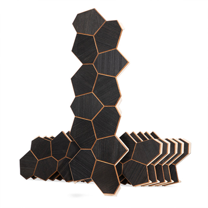 ProSaunas Modern Black Sauna Wood Panels, Black Thermo-Abachi