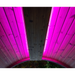 SaunaLife EMOOD Colored LED Lighting for Ergo-Series Sauna Barrels